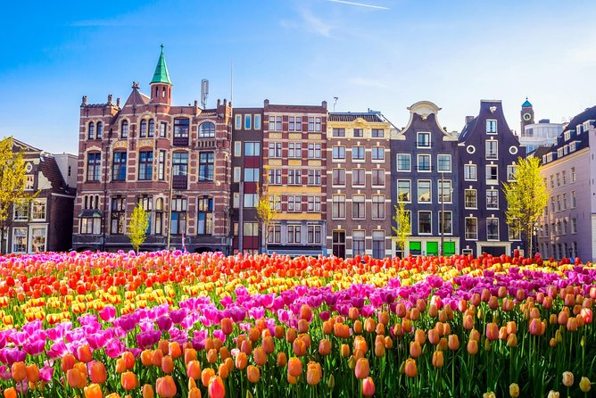 Amsterdam Day Trip from Brussels - The 4-hour free time, how to use it like a smart walker