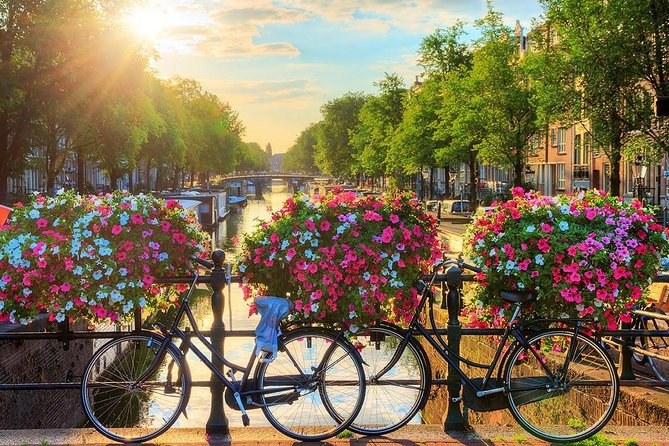Amsterdam Day Trip from Brussels - Price and value at about $82.68, what you’re really paying for