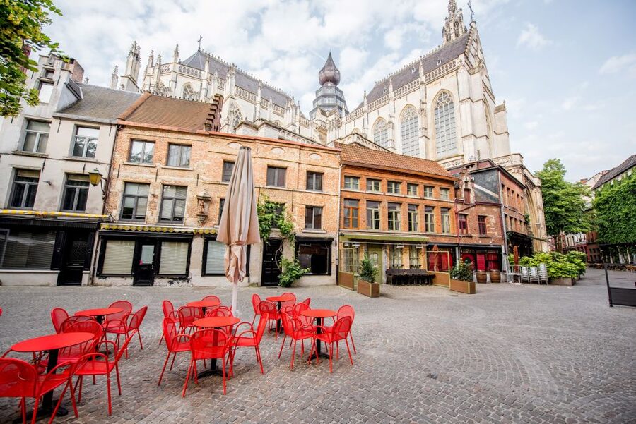 Antwerp: Express Walk with a Local in 60 minutes - From the Cathedral of Our Lady to the core sights, why the “short” route works