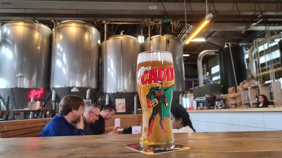 Antwerp: Pub Crawl in the Historical City - Should you book this Antwerp pub crawl in Antwerp