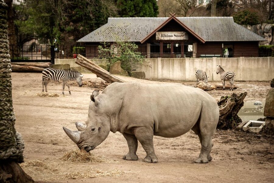 Antwerp: ZOO Entry Ticket - Family-friendly details that help you manage a long day