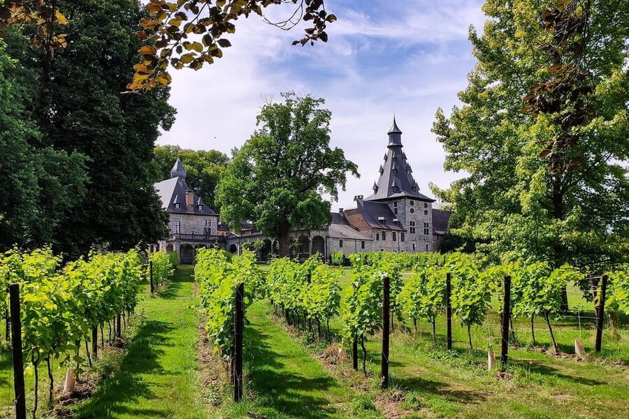 Bioul (near Dinant) : Château de Bioul Tour and Wine Tasting - Château de Bioul near Dinant: why this one-day visit works