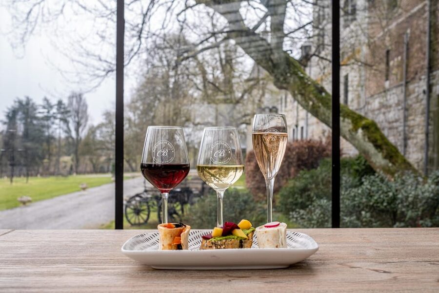 Bioul (near Dinant) : Château de Bioul Tour and Wine Tasting - Vineyards and winery discovery tour: how it becomes grape to glass
