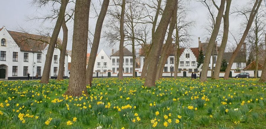 Bruges: 2.5-Hr Walking Tour from train station to Markt - Where the tour starts: Bargeplein and the easy route toward Markt