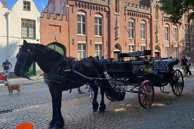 Bruges by a Local: Exciting Stories, Mysteries, People and Choco - Huidenvettersplein: the dark, smelly history stop