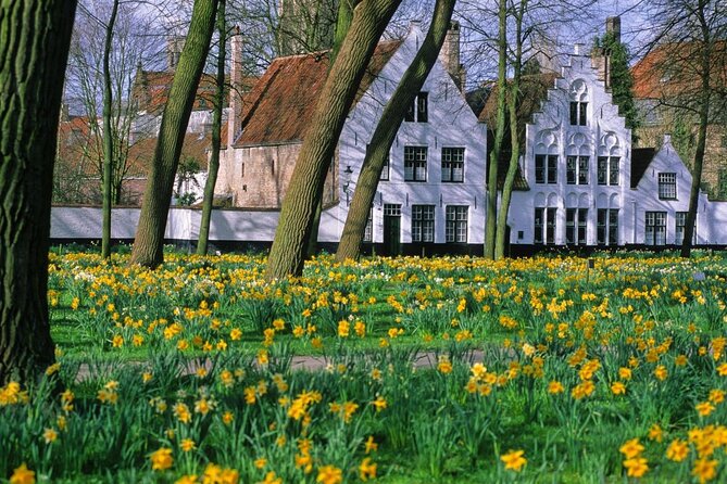 Bruges by bike with friends and family! - Why this Bruges by Bike tour feels so efficient