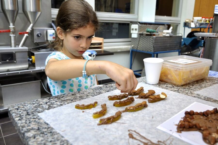 Bruges: Chocolate Making Workshop and Chocolate Museum Entry - Key things to know before you go