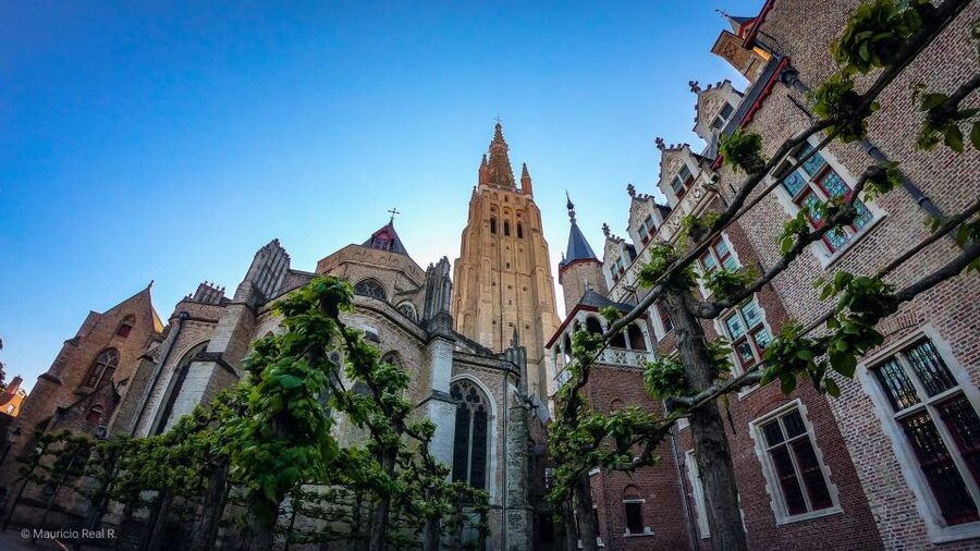 Bruges: Private Historical Highlights Walking Tour - Price and value: why $206 per group up to 2 can make sense