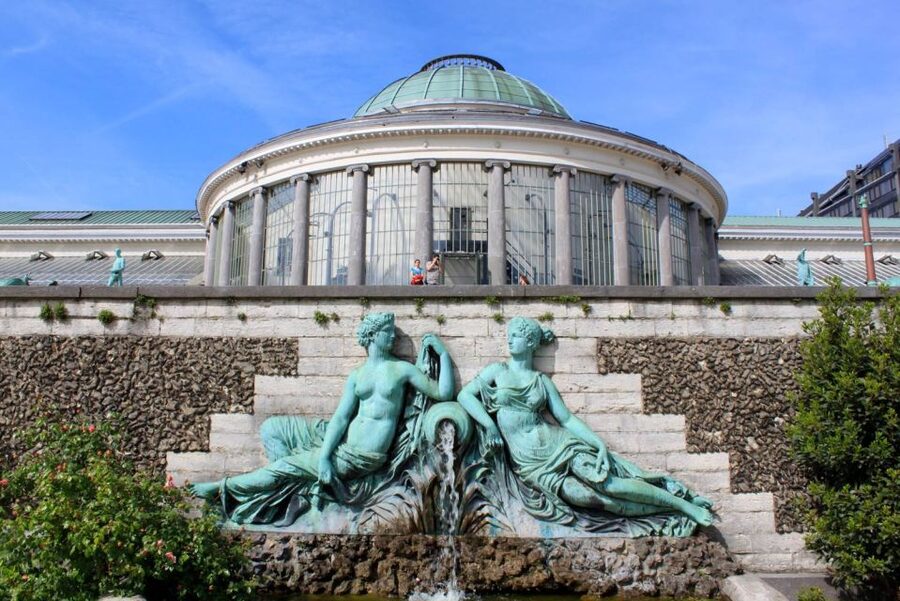 Brussels Card: 24, 48 or 72 Hour Validity - Entering the Museum Route: How to Choose From 49 Free Options
