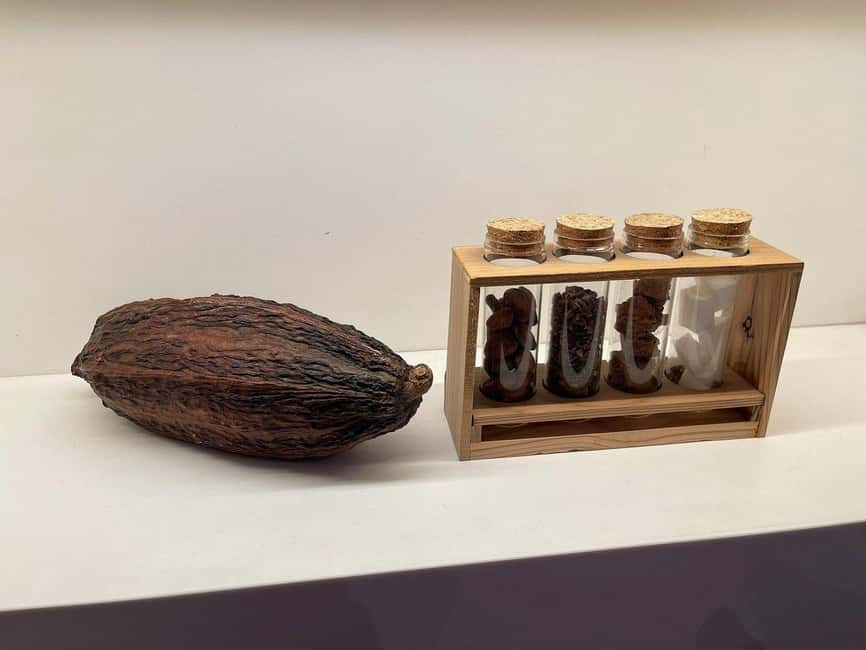 Brussels: Chocolate Appreciation and Tasting Walking Tour - How the Tasting Works: 5 Shops, 8 Bites, and Real Taste Tips