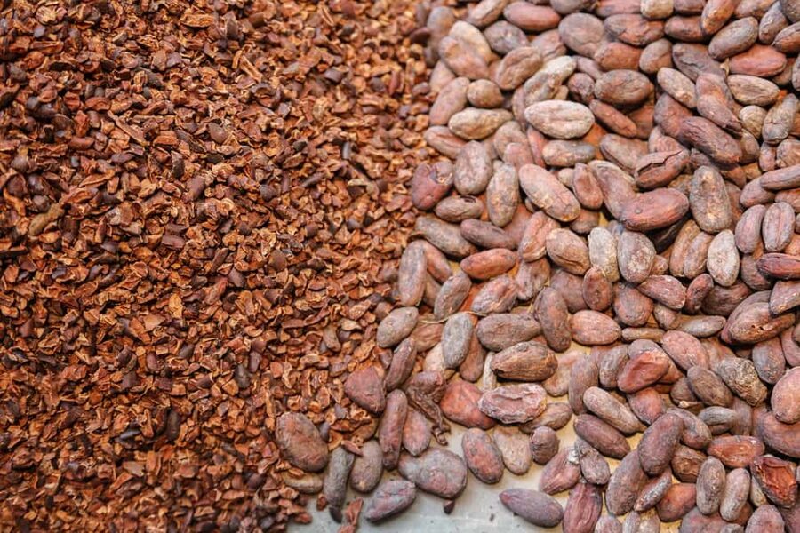 Brussels: Chocolate Appreciation and Tasting Walking Tour - Saint Catherine’s Walk-Off: Getting Your Bearings in Central Brussels