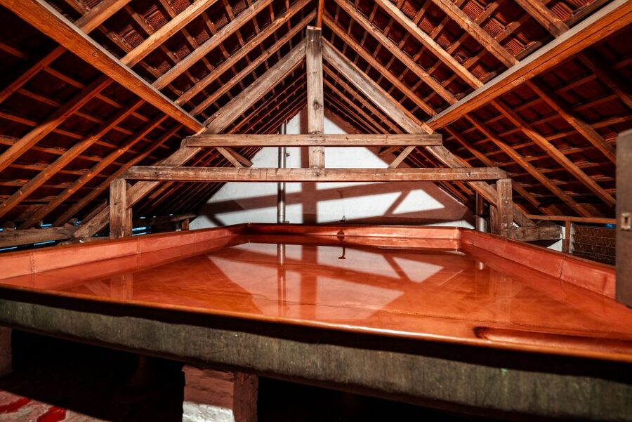 Brussels: Discover Belgium's Breweries with a Local - Key highlights to look forward to