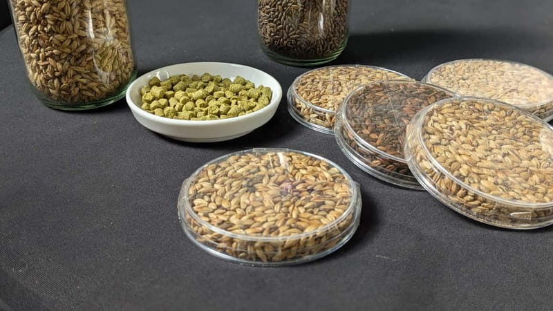 Brussels: micro brewery & distillery tour + beer tasting - Quick reasons to go