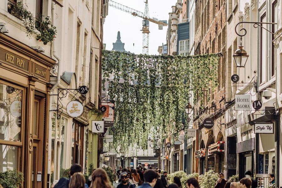 Brussels: Private Tour of the European Quarter - Matonge detours for Congolese culture and Brussels beyond EU buildings