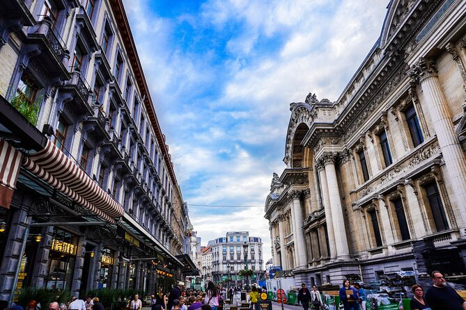 Brussels Private Walking Tour with a Local - Price and value: what $65.90 covers and why it can be worth it