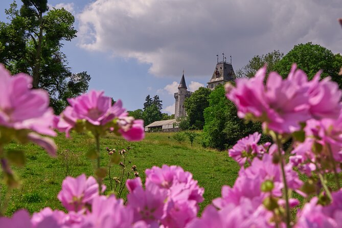 Castle Guided Tour (English) - The Ardennes tower viewpoint: worth it, but plan your steps