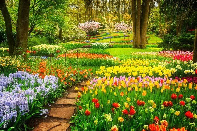 Delft and Keukenhof Gardens Tour from Brussels - Who This Tour Fits Best