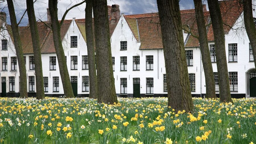 From Amsterdam: Bruges Day Trip in English with Boat Option - Beer, sweets, and practical food moves in a city built for snacking