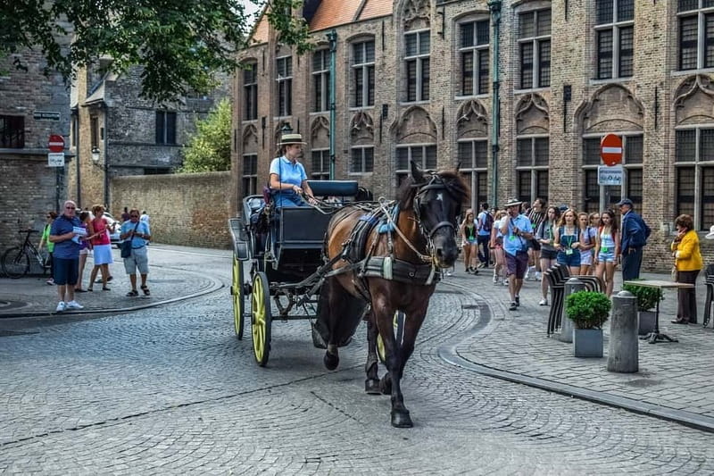 From Amsterdam: Private Sightseeing Tour to Bruges - The 3-Hour Limousine Ride: Comfort Plus Real-Time Convenience
