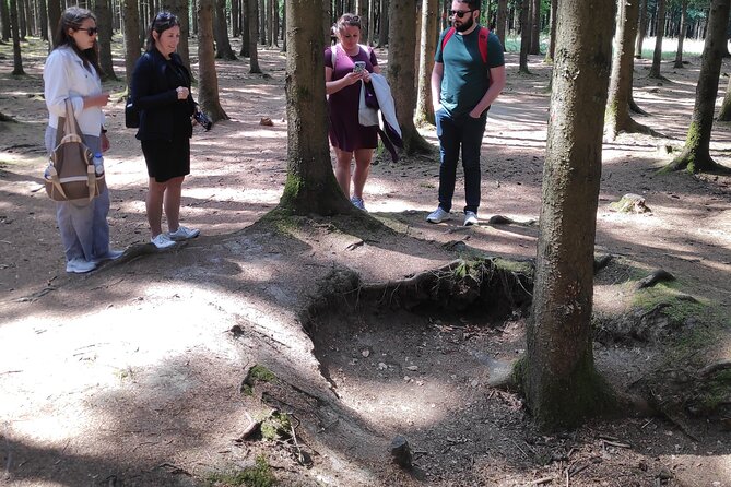 Historic Battle of the Bulge Sites Tour from Brussels - Bastogne War Rooms and McAuliffe’s Cellar: The Story Behind the Famous NUTS