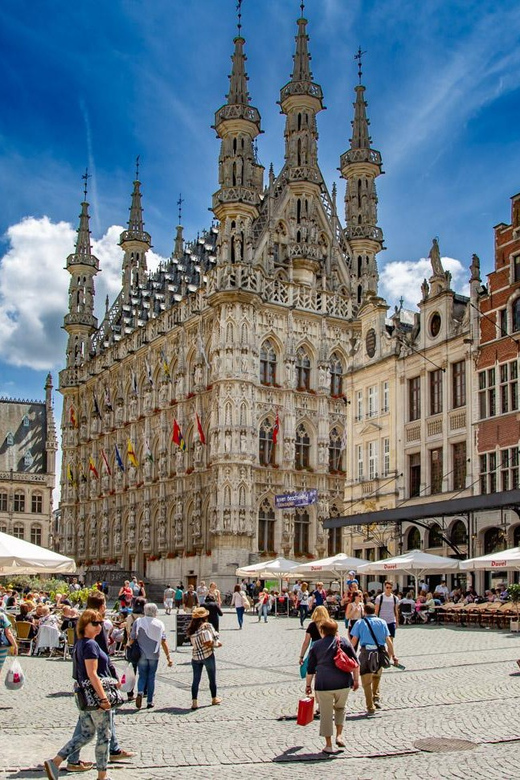 Historical Leuven: Private Walking Tour with a Local Guide - Price and Value for Up to 15 People