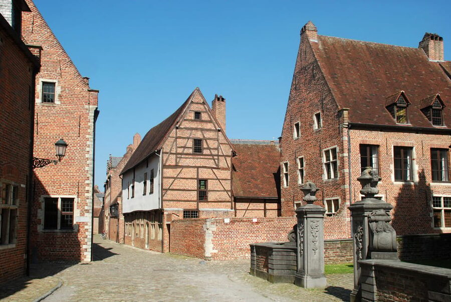 Historical Leuven: Private Walking Tour with a Local Guide - A Local Guide Who Explains Leuven, Not Just Points at It