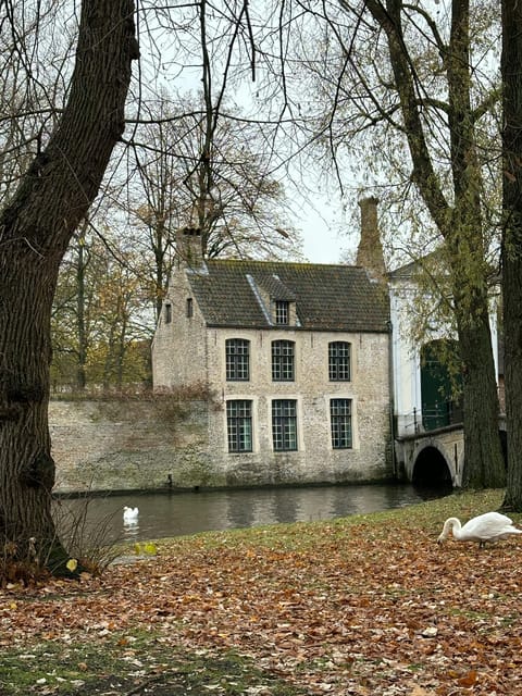 Historical walk in Bruges with local guide. Praline included - Burgundy Wall Square and the brewery side of town