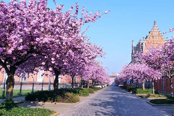 Private Hidden Gems Walking Tour in Ghent - The Guide Makes the Difference: What You Can Plan For