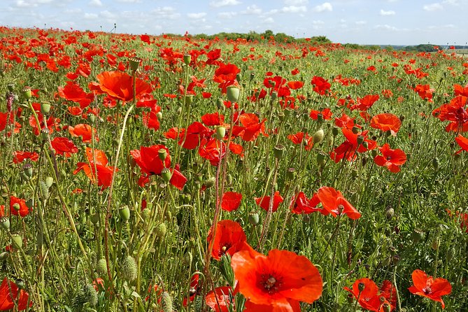 Private Vimy and Belgium Canadian Battlefield Tour from Bruges - Saint Julien and Langemark: Gas Attack Memory and Different Burial Styles