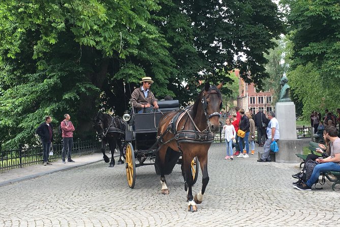 Round-Trip Shuttle Service from Zeebrugge to Bruges - Zeebrugge to Bruges: The Real Value in a 20-Minute Ride