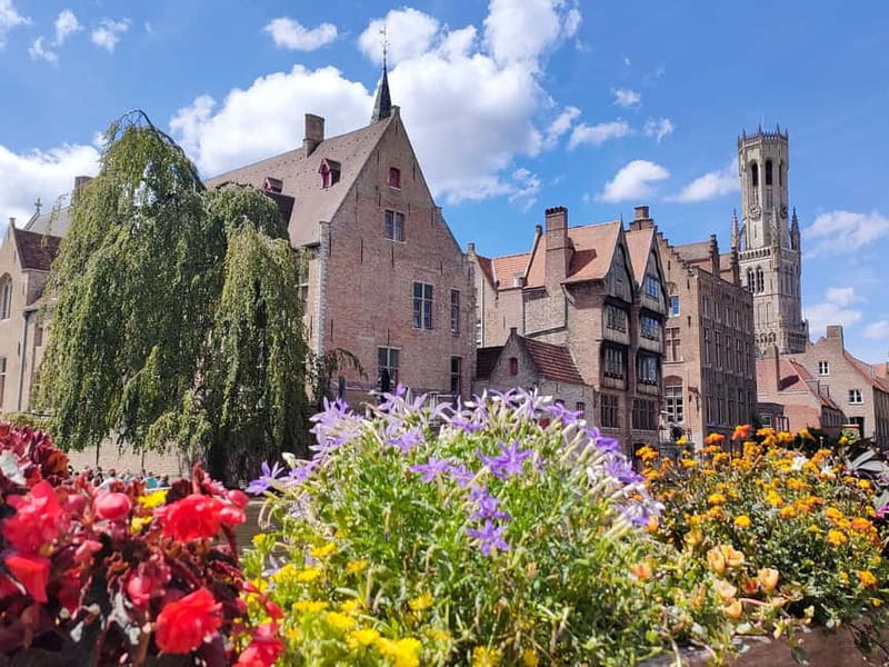 Thé best chocolate in Bruges! Private tour! - Price and What You Get for $85 per Person