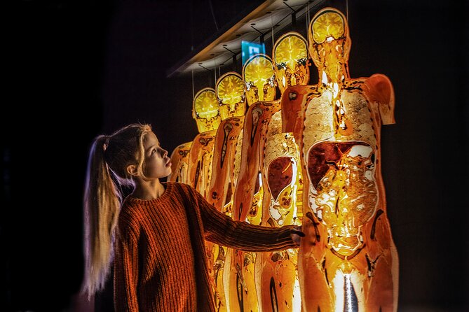 Ticket Expo Body Worlds in Bruges, Belgium - The anatomical mirror: the interactive moment that sticks