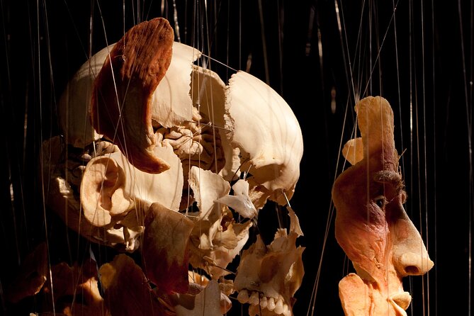 Ticket Expo Body Worlds in Bruges, Belgium - Practical value: what you get for the $81 price
