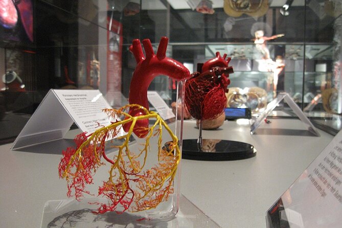 Ticket Expo Body Worlds in Bruges, Belgium - Location in Bruges: easy to plug into a sightseeing day